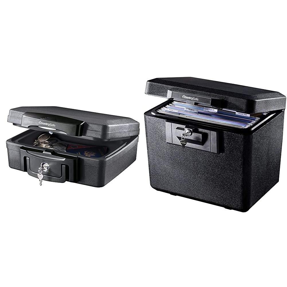 Amazon.com: SentrySafe H0100 Fireproof Waterproof Box with Key